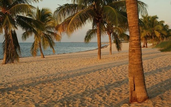 What Are the Florida Spring Training Teams?